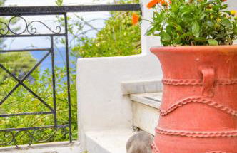 Heracles Guesthouse - Photo 38