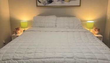 1 Bedroom apt suite Wifi fitness room Deep Ellum-FIFA WORLD CUP 2026 - Photo 5