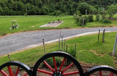 Zeleni raj - Foto 29