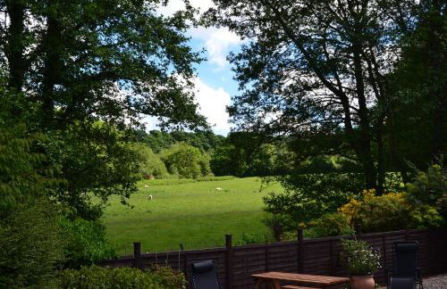 Arrowwood Self Catering (Wagtail and Nuthatch) - Foto 33