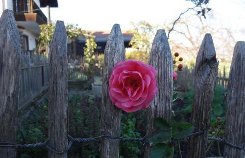 Apartment Apartment - Monteure by Interhome - Foto 9