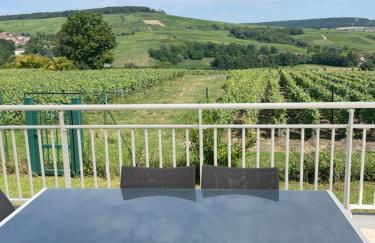 Les pieds dans la vallée - Foto 1