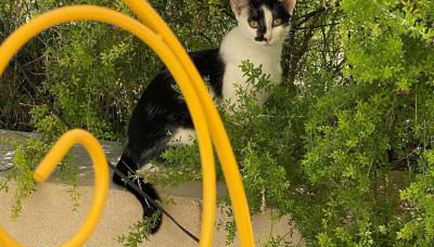 La Casa di Stefania LOFT - Foto 4