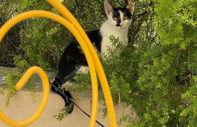 La Casa di Stefania LOFT - Foto 4