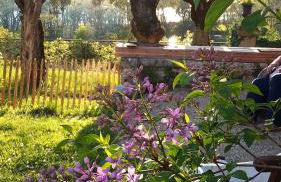 HDC la maison des AMIS - Foto 7