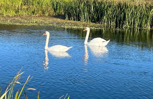 Holiday Home Božica - Photo 40