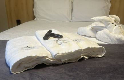 BORA BORA RESIDENCE II Geminados 600 METROS DA EXPOVILLE - Photo 19