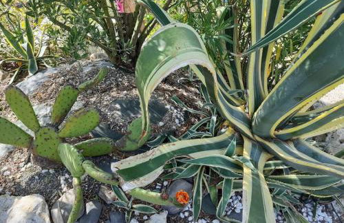 Gers habitation - Photo 78