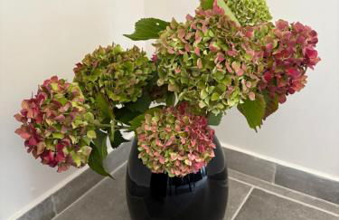 La Grange de Molière - Foto 6