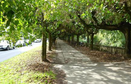 ZM 22, King Room doubleBed - Foto 19