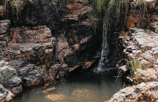 Paradise Ranch - Foto 17