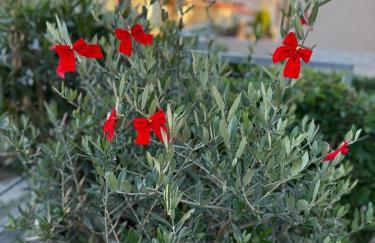 Between Meteora Trikala BMT House - Photo 30