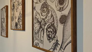 Gemütliche 2 Zim Wohnung mit Fahrradstellplätzen - Foto 3