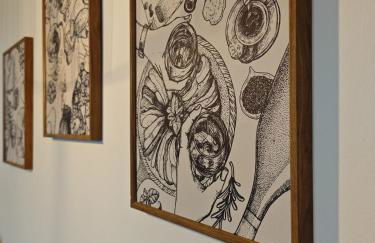 Gemütliche 2 Zim Wohnung mit Fahrradstellplätzen - Foto 3