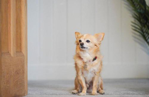 Bulls Head Historic Home With Garden And Hot Tub - Photo 7