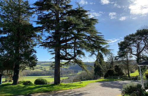 Little Silver Nugget - Foto 24