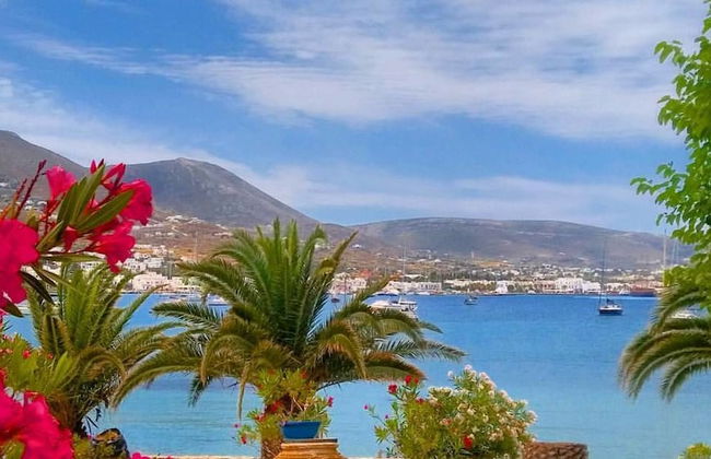 Captain Menegos Studios - Photo 10