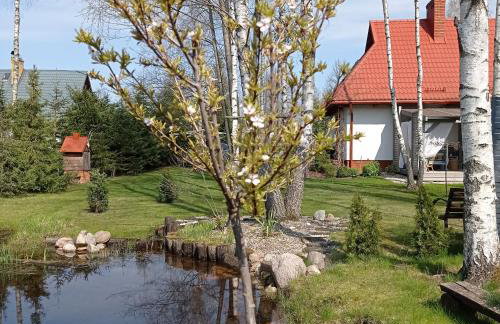 Siedlisko Gruszki Puszcza Białowieska - Foto 53