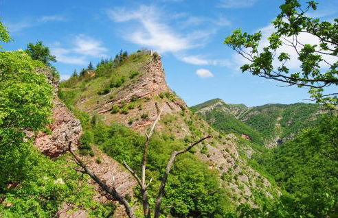 Socagril Verde Ss - Foto 6