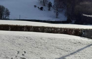 The Hut B & B - Foto 18