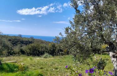 Jenny's Greek Villa - Foto 13