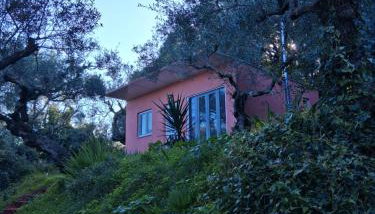 el paradiso - Foto 3