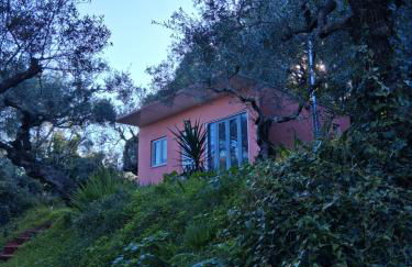 el paradiso - Foto 3