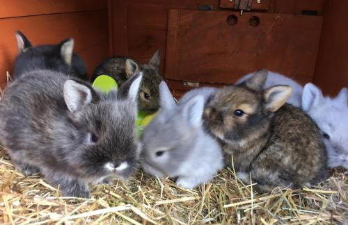 Agriturismo Casa Aurora - Foto 30