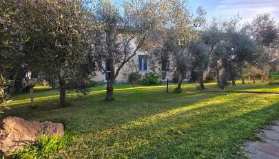 Case vacanza "Gli Ulivi" - Photo 3, Garden view