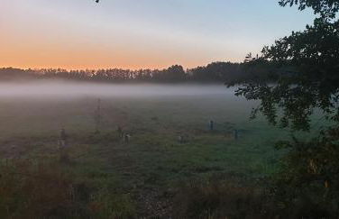 Haus mit 8 Schlafzimmer, 30 Minuten Berlin Centrum - Foto 34