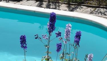 Quinta das Delicias - Foto 4