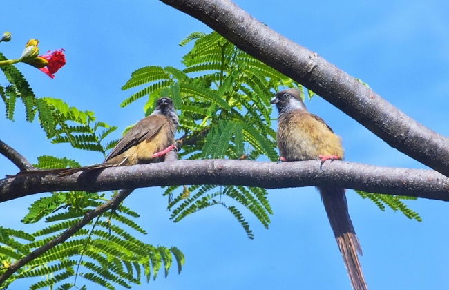 Ose Cottages - Foto 18