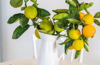 Valandou Guesthouses - Foto 24