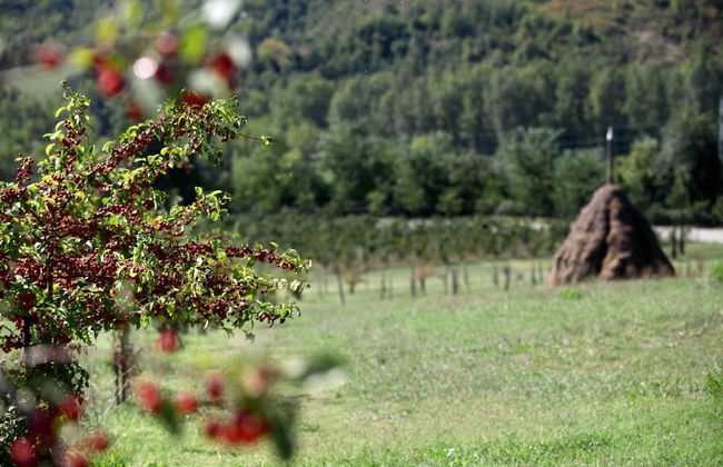 Locanda dei Cinque Cerri - Foto 36