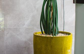 Quinta da Bocaina - Foto 53