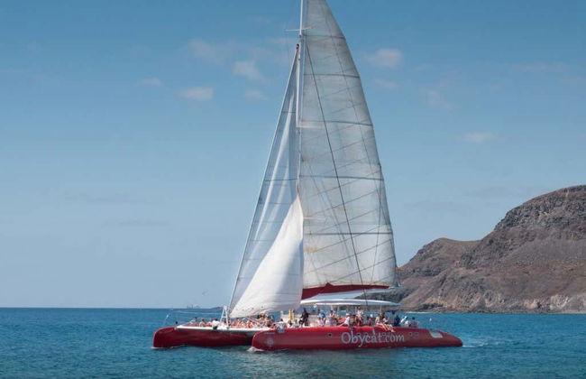 Excursão de catamarã saindo de Caleta de Fuste - Foto 4