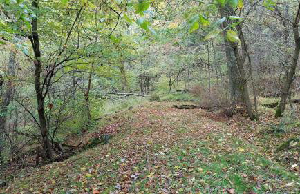 Red Roof mountain cabin with Starlink internet! - Foto 26