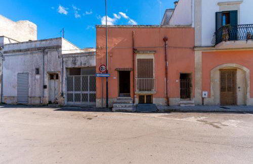 Stella di Domenica - Foto 22