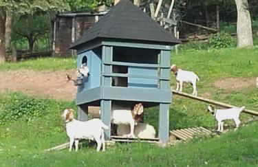 Ferienhaus Strunks ahl Häusje - Foto 31