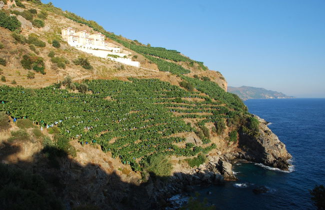 Blue Lagoon Village - Foto 63