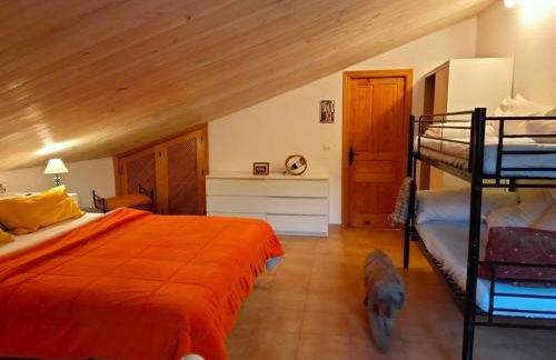 Finca Los Jacaros - Foto 24