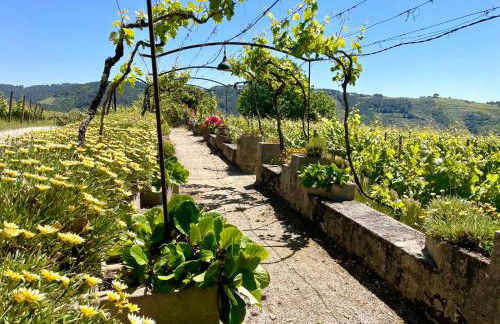 Quinta da Cumieira - Foto 52