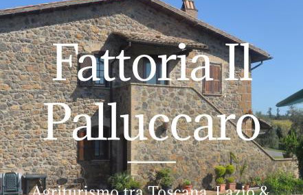 Il Palluccaro - Foto 22