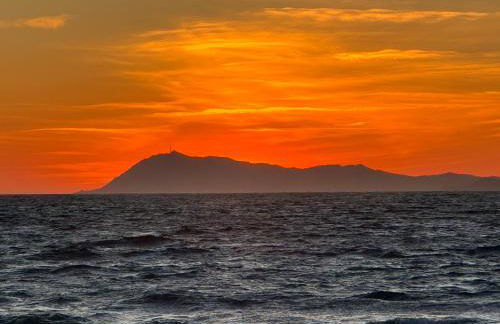 Le Club des Cigales - Foto 42