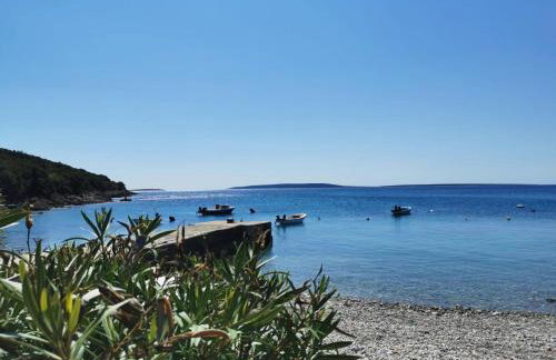 Guesthouse Stivan (920) - Foto 36