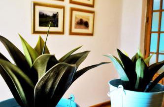 Casa Pedregalejo. Grupos-Familias - Photo 53