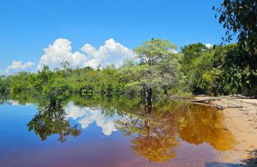 Premium Amazon Jungle Lodge - Foto 10