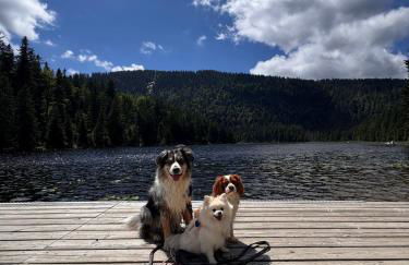 Bavaria Mountain Chalet DESIGN Ferienwohnung SKI Arber Osser Terrasse Sauna in Villa mit Bergblick bis 6 Pers - Foto 63