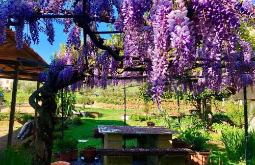 Agriturismo Montefabbrello - Foto 11