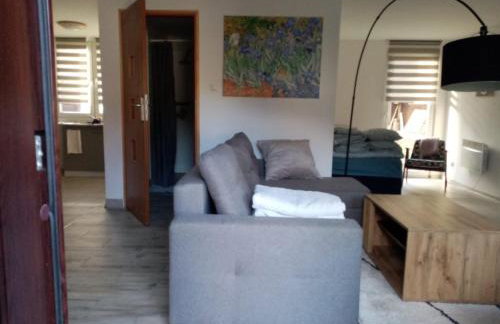 Domki OW Rycerka - Foto 8